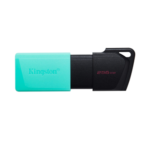 Kingston 256gb Usb 3.2 Gen Data Flash Bellek DTXM/256GB